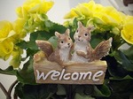 welcome.jpg